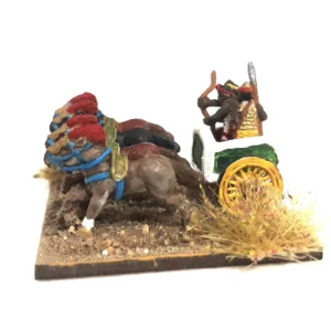 Ancient Indians | 10mm Wargame Miniature
